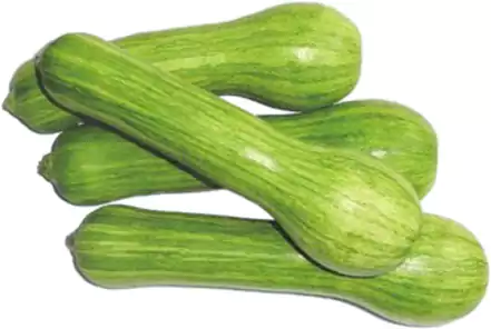 Pitaro Hortifruti - Foto ilustrativa